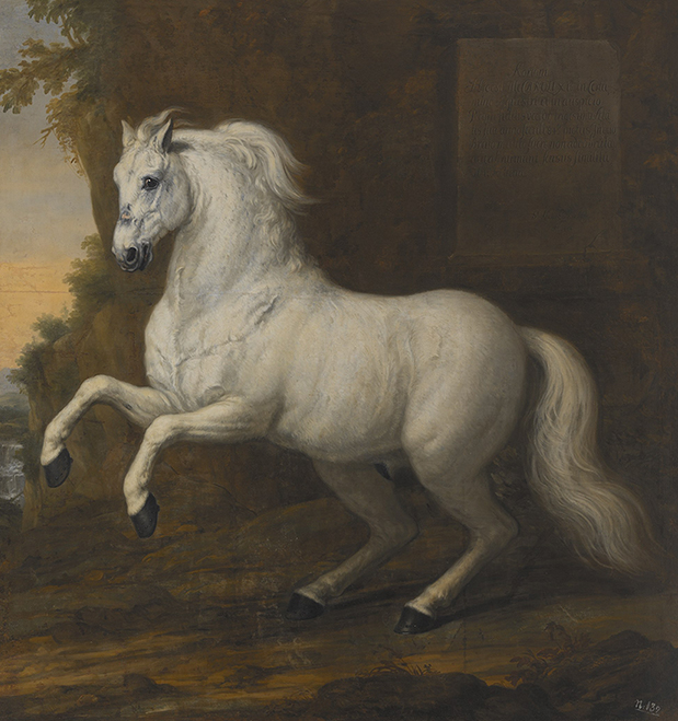 King Karl XI's horse Kortom