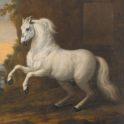 Karl XIs häst Kortom